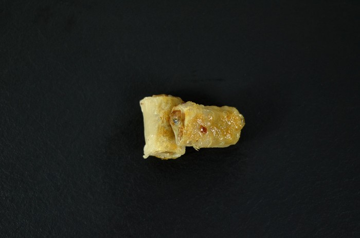 poissonnerie-robert-saint-etienne-nems-crevettes