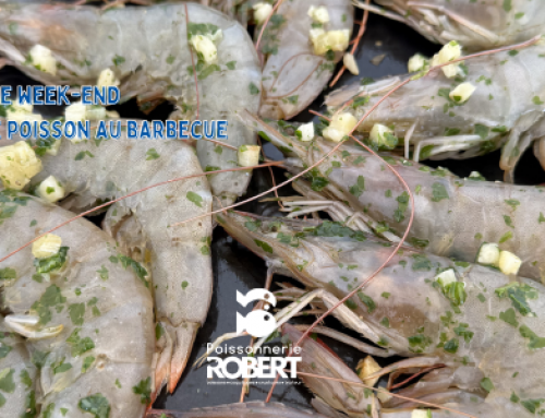 Le poisson s&rsquo;invite au barbecue ☀️